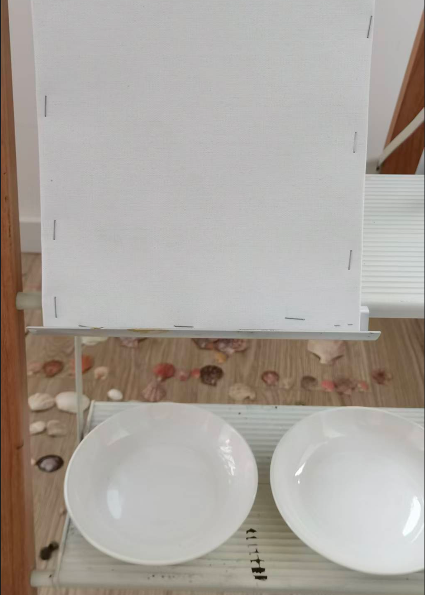 贝壳作画过程