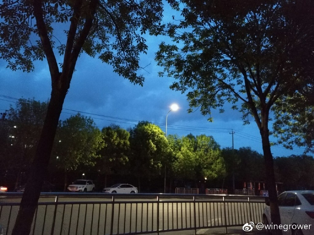 夏天风景